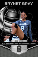 Hbg Cougars Volleyball C/O 2020