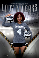 Hbg Cougars Volleyball 2019